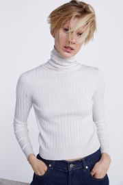 RIBBED KNIT TURTLENECK SWEATER at Zara